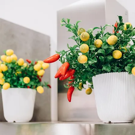 شقة Castle Living كاتانيا